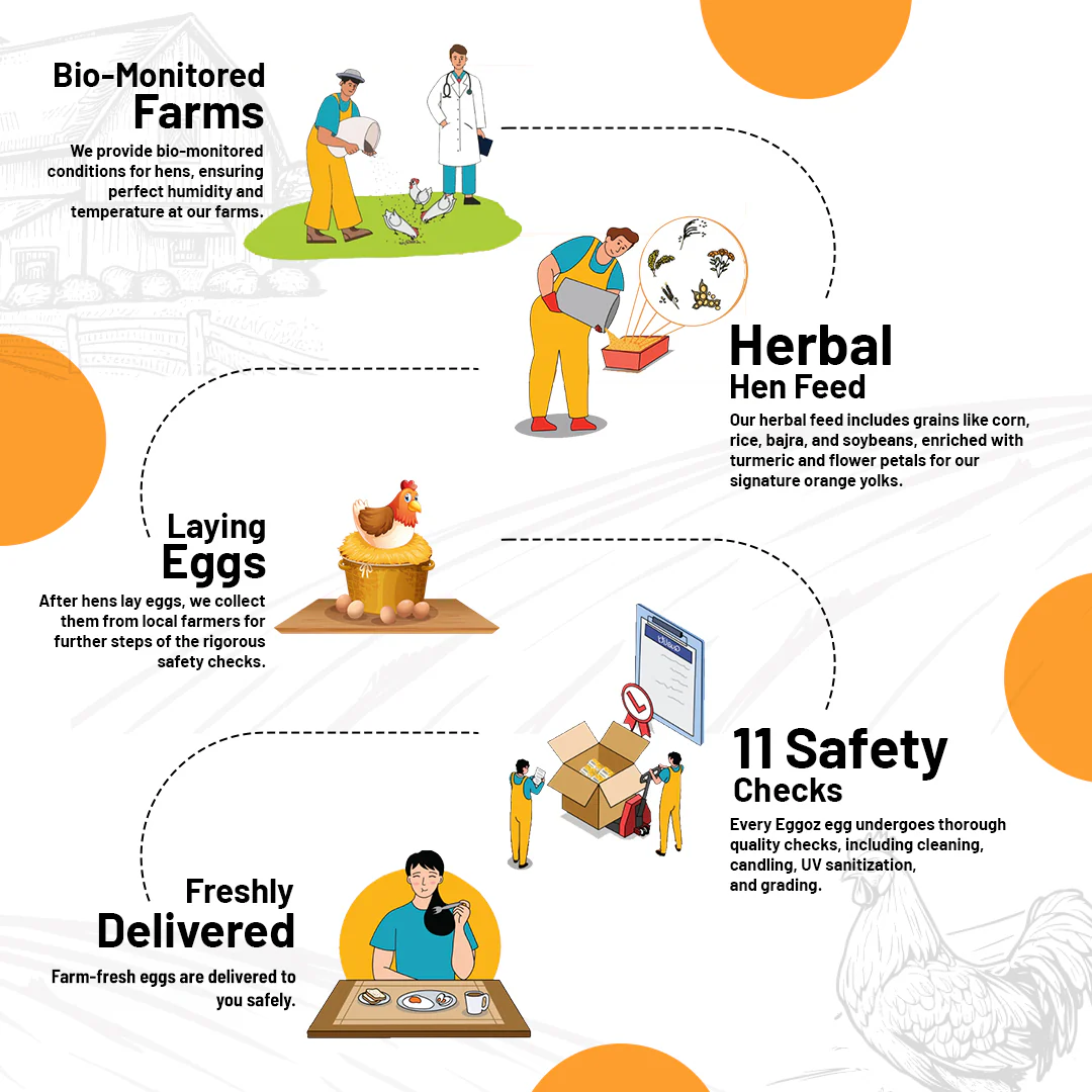 Nutrition Brown Eggs - Image 3